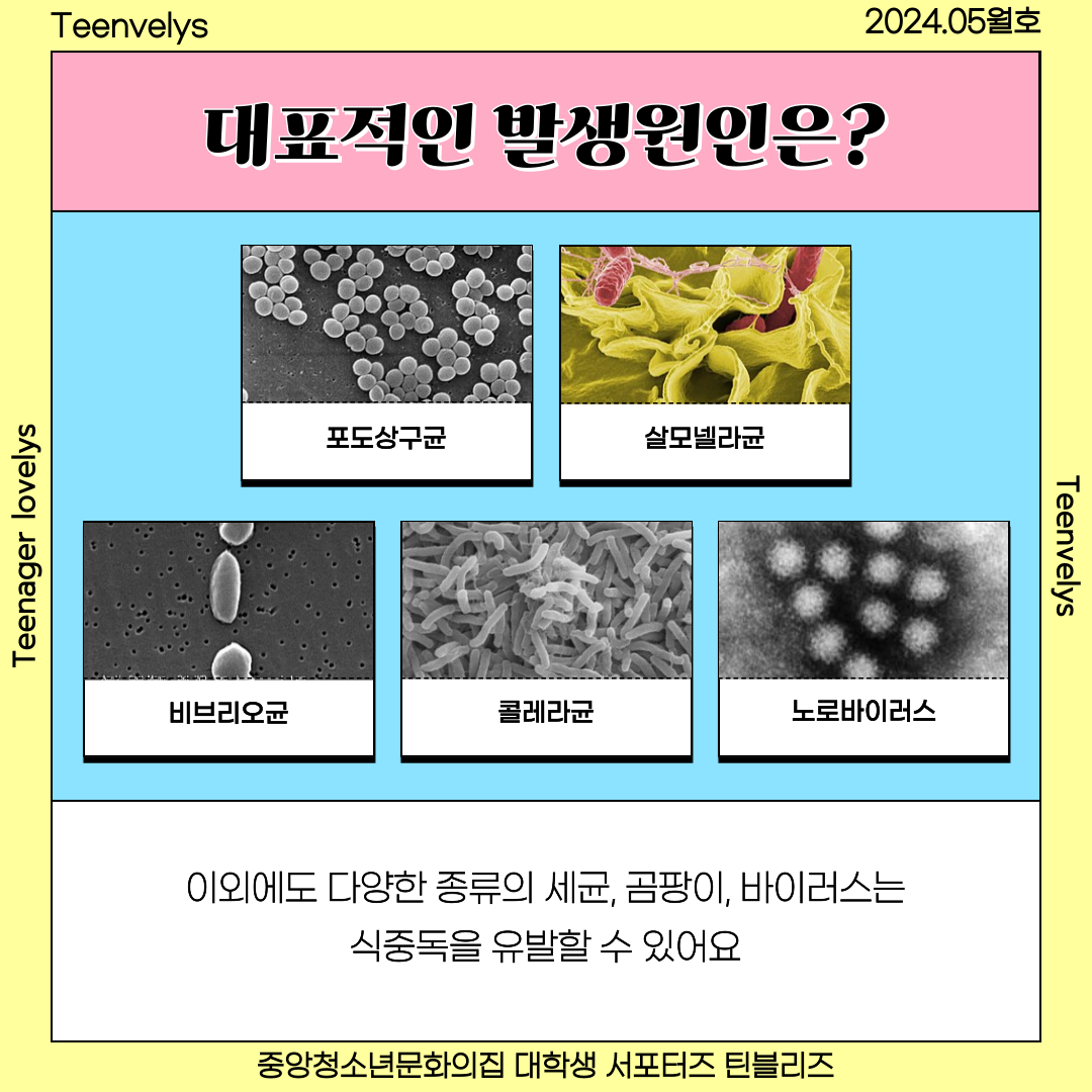 KakaoTalk_20240529_170644429_03.png